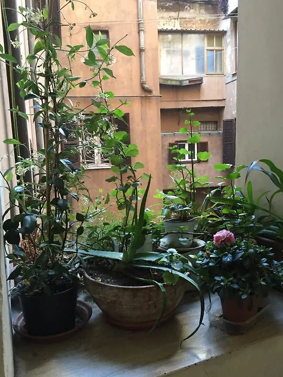 Casa Magiuli' Navona Διαμέρισμα Ρώμη